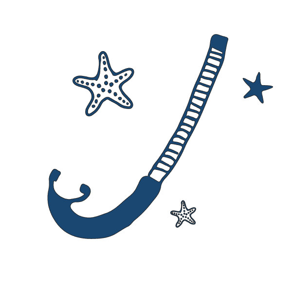 King of Pools | Luxury Pool Services in New Jersey